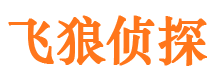 泊头外遇调查取证